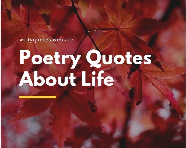 Poetry Quotes About Life 