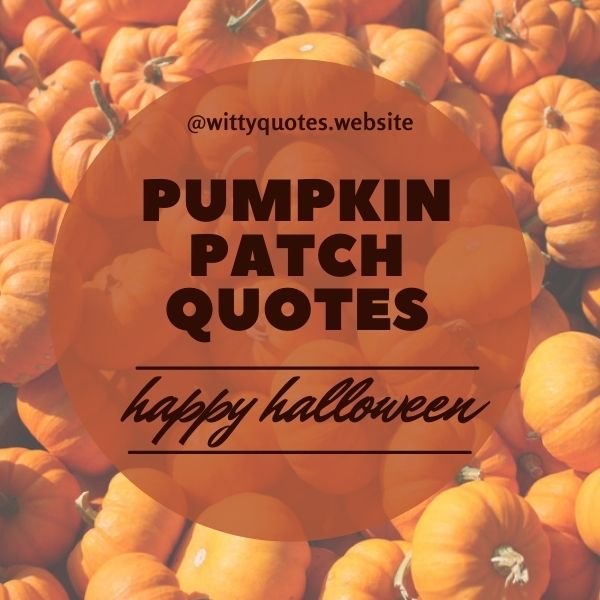 Pumpkin Patch Quotes