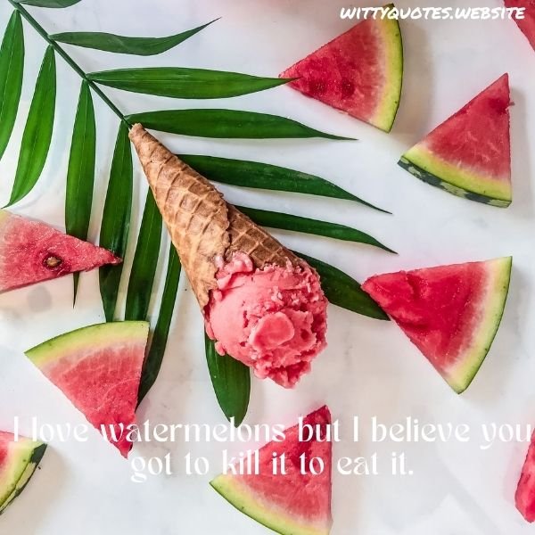 Quotes On Watermelon For Instagram