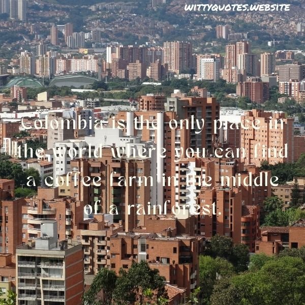 Colombia Quotes For Instagram