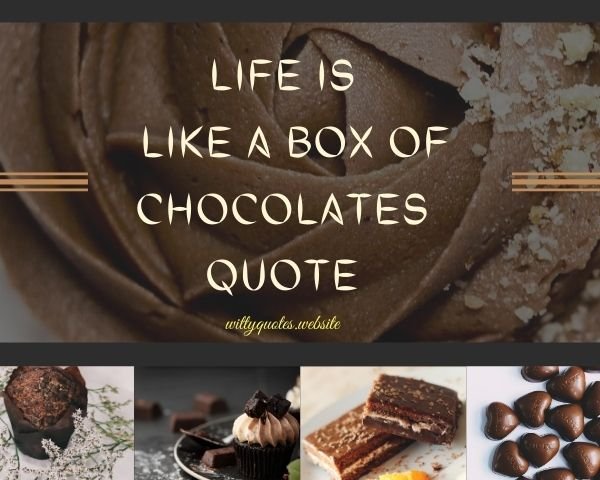 Life Is Like A Box Of Chocolates Quote