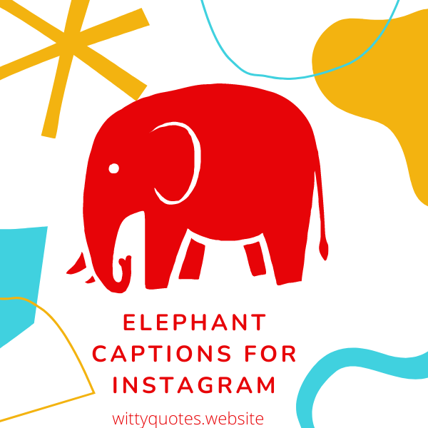 Elephant Captions For Instagram