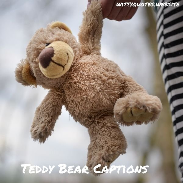 Teddy Bear Captions For Instagram
