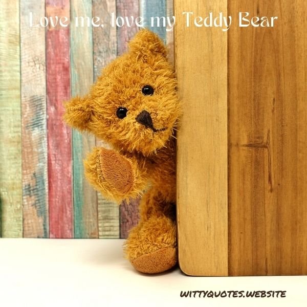 Teddy Bear Quotes For Instagram